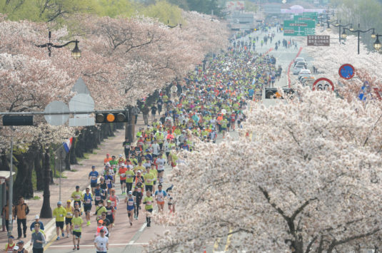 【終了】２０１９年４月５日（金）～　あいタビ　慶州さくらマラソン＆ウォーク２０１９参加ツアー